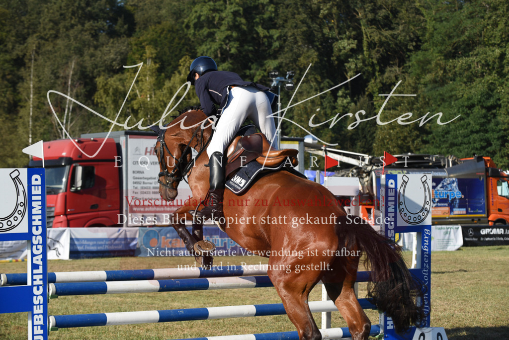 DSC_5040 | Pferde- und Turnierfotografie in Westsachsen. Pferdeportraits, Auftragszeichnungen und intuitive Kunst.