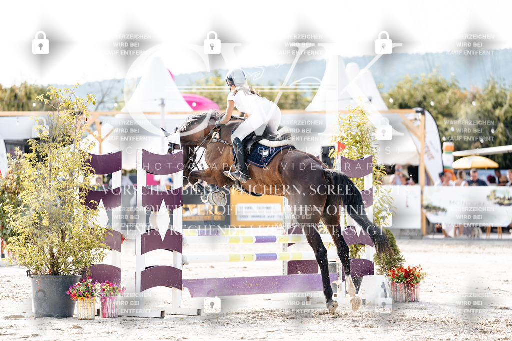 CK905916 | Turnierfotografie Pferdefotografie Trier Rheinland-Pfalz Pferdesport Reitsport Tierfotografie Sportfotografie Pferdevideo Pferdevideografie Equestrianvideography equestrianphotography  - Realisiert mit Pictrs.com