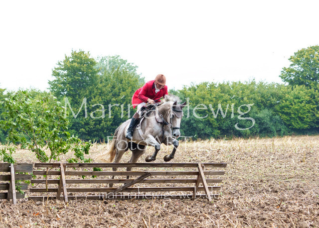 Jagd Kletkamp 26-03025_MarinaHewig | Fotografie, FotoArt, PferdesportArt, Pferdesportfotografie, Landschaftsfotografie, Reisefotografie, Reise, Pferde - Realisiert mit Pictrs.com