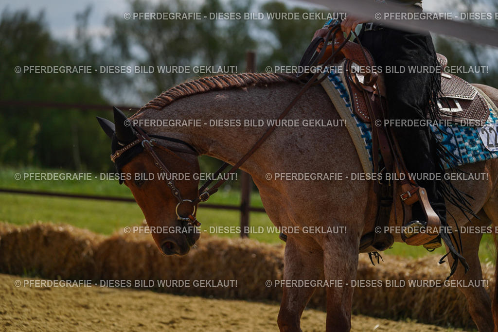 DSC04835 | Pferdegrafie