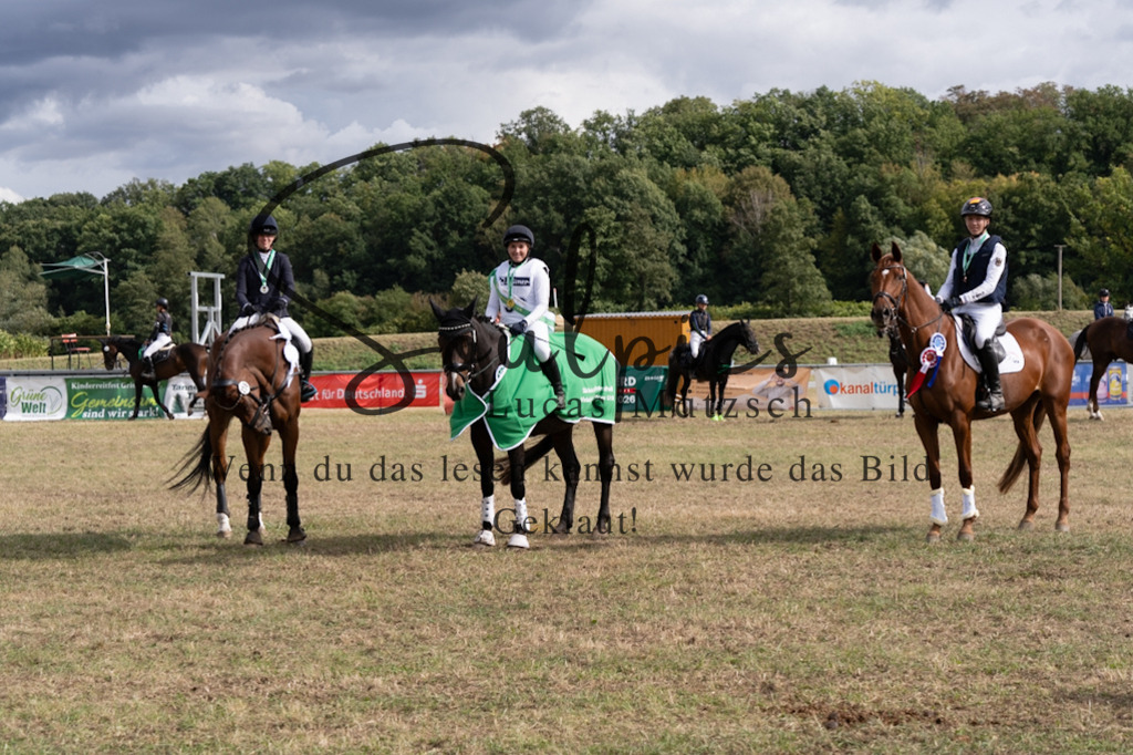 A7V01220 | Pferdefotograf