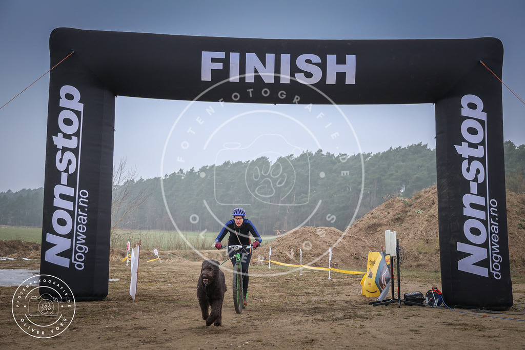 Pfotenfotografie_0L8A2664 | Hundefotografie, Tierfotograf, Pfotenfotografie, Fotoshooting Hund, Hunde Portrait, Hundesport, Hundeportraits, Heideshooting, Hunde, Sportfotograf, Hundefotograf, Turnierhundsport, THS,  - Realisiert mit Pictrs.com