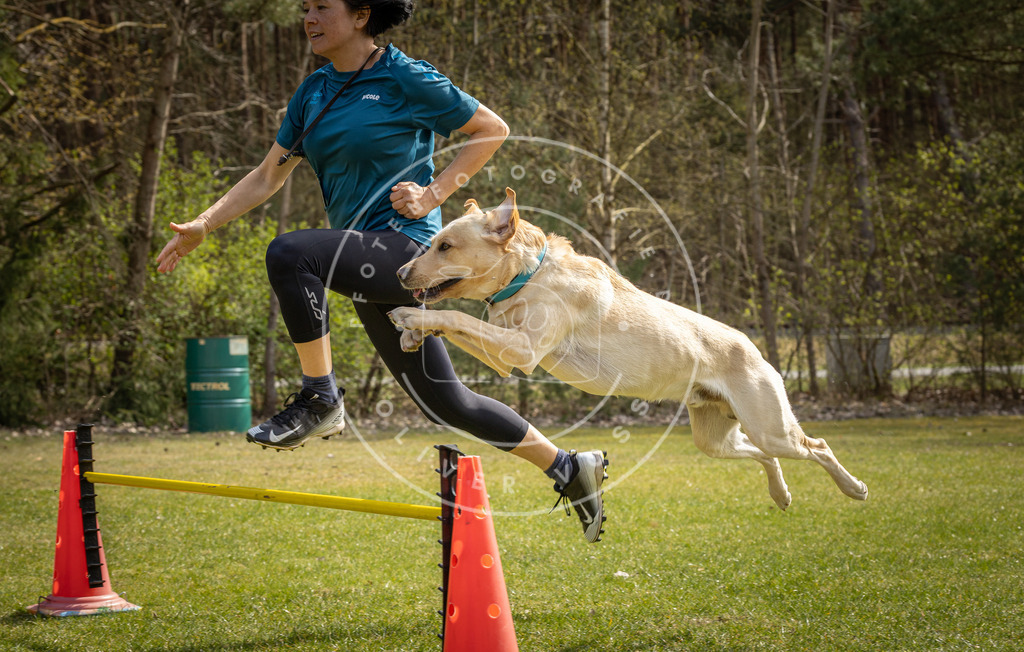 Pfotenfotografie_DV3A6306 | Hundefotografie, Tierfotograf, Pfotenfotografie, Fotoshooting Hund, Hunde Portrait, Hundesport, Hundeportraits, Heideshooting, Hunde, Sportfotograf, Hundefotograf, Turnierhundsport, THS,  - Realisiert mit Pictrs.com