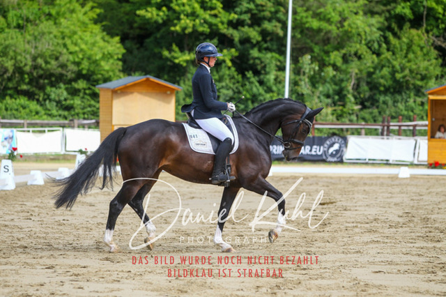 DKP45506 | Turniersportfotografie; Pferdefotografie; Dressurfotografie