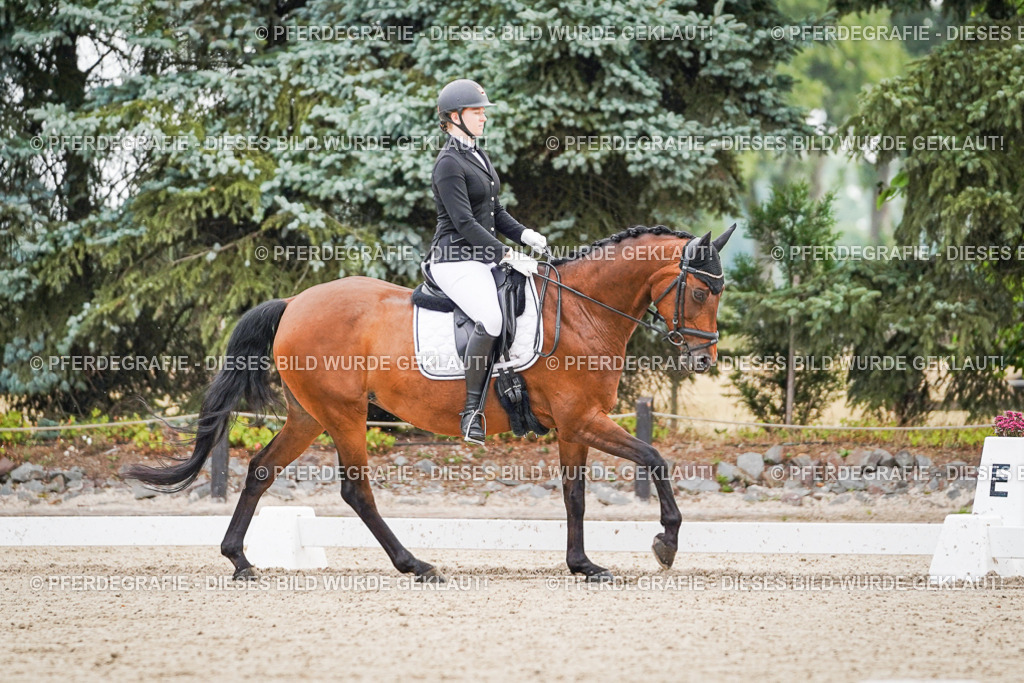 DSC01129 | Pferdegrafie