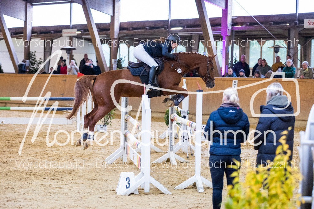Sth-A-Spr.m.st.A.-060 | MomenTaufnahmen Pferdesportfotos