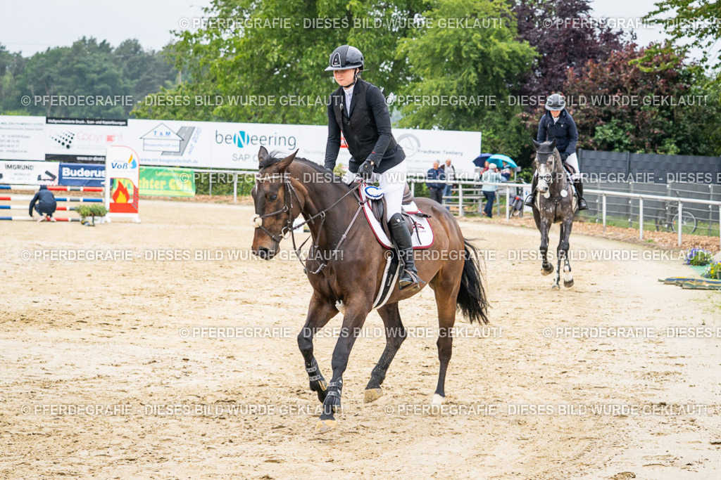 DSC01075 | Pferdegrafie