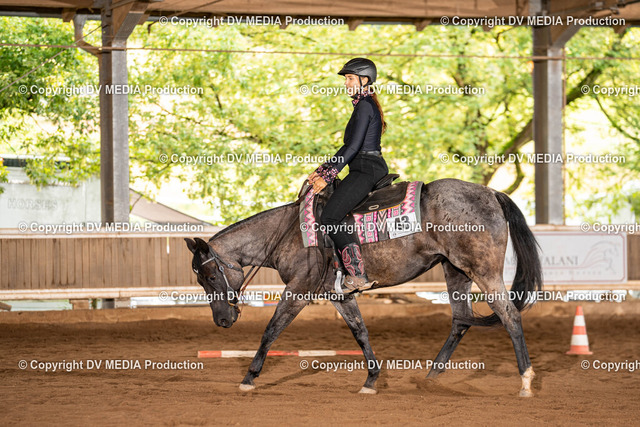 Erbach Tag 1-309 | dv-media-shop - Realized with Pictrs.com