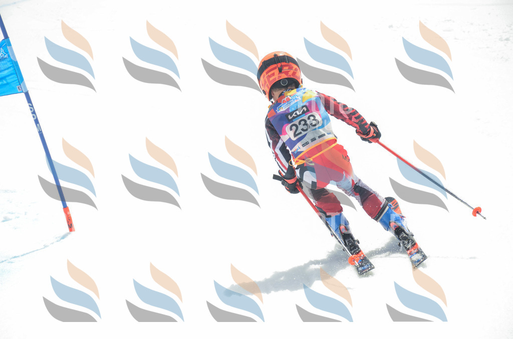 _ELE7339 | holidayphoto