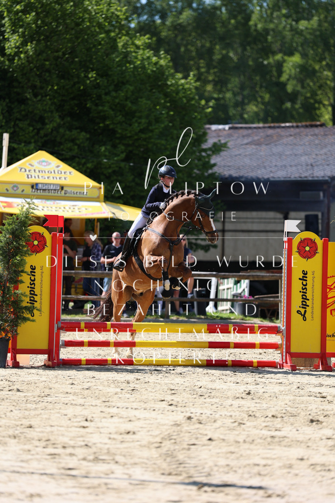 IMGS4636 | pl-fotografie