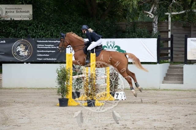 2B4A1621 | pixelfaenger - Realisiert mit Pictrs.com