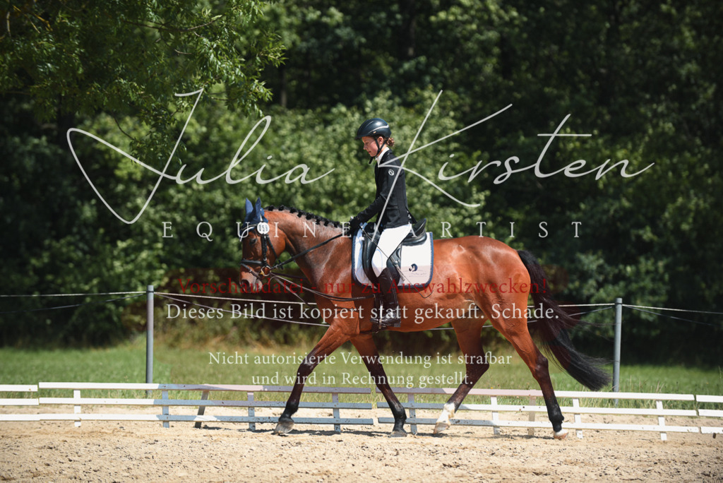 DSC_2240 | Pferde- und Turnierfotografie in Westsachsen. Pferdeportraits, Auftragszeichnungen und intuitive Kunst.