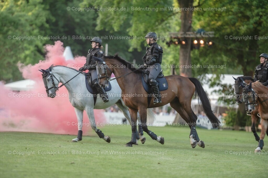 20230526_Pferdenacht_0390 | equistock