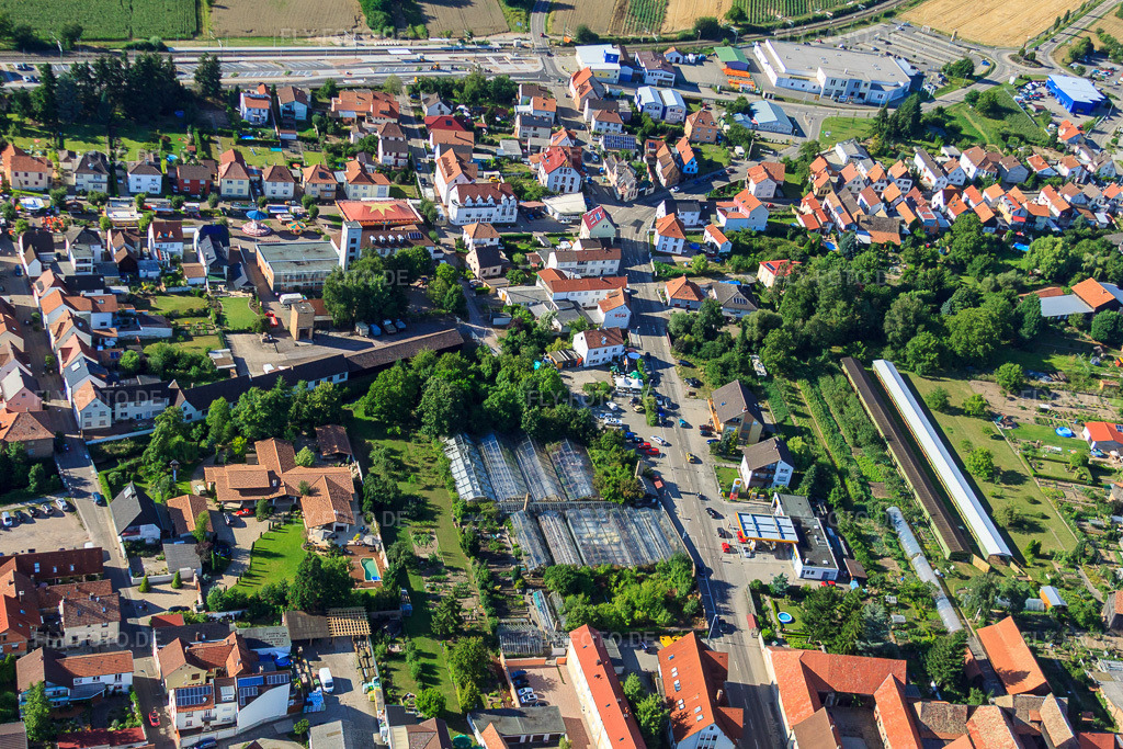 Luftbild: Gewächshäuser an der Lindenstr in Rülzheim im Bundesland Rheinland-Pfalz in Deutschland. Foto: IMG_30748.jpg vom 31.07.2010 durch Werner Riehm/FLY-FOTO.de