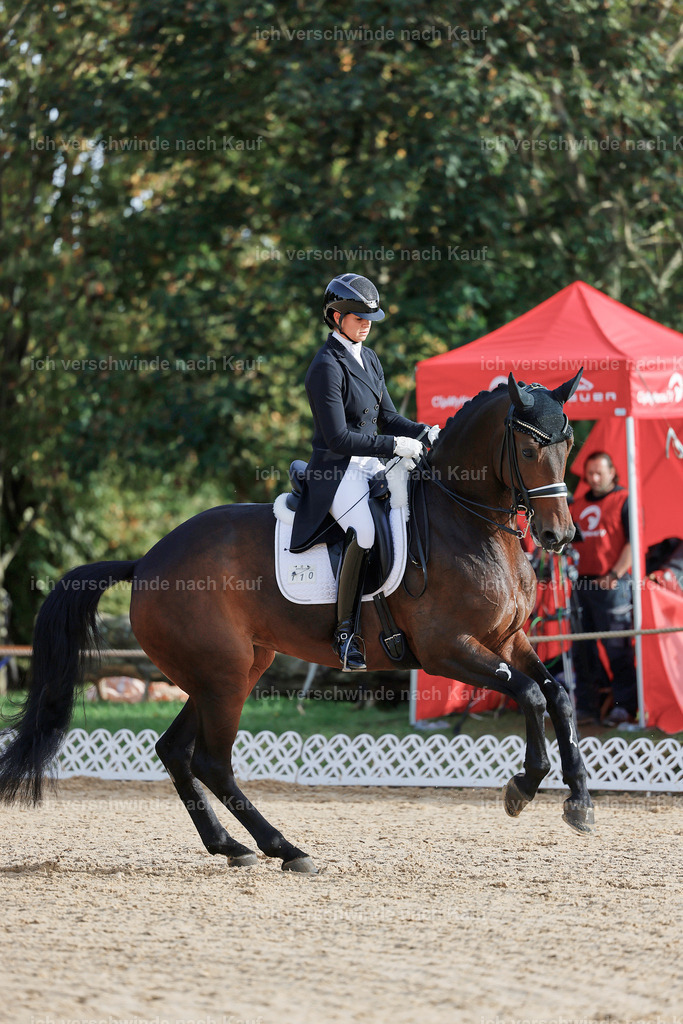 13-110-S___ -StoibPH-6951 | working equitationturnier fotograf videograf stoibphotography marixx film working equitation deutschland reitsport turnierfotografie eventfotografie equestrian events