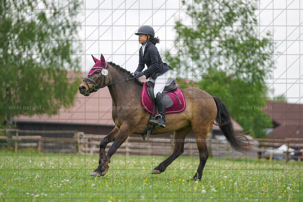 20240509-FAH02557 | Turnierbilder der Turnierfotografen Bayern, Pferdesport Fotografie, Reitsportbilder, Turnier Landberg am Lech, Turnierbilder bayern, Fotoagentur Herrmann