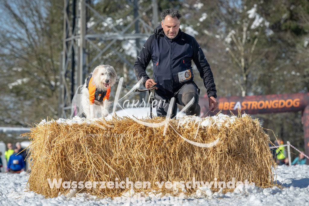 1109_ZZ90281-2 | kk-dogfotos