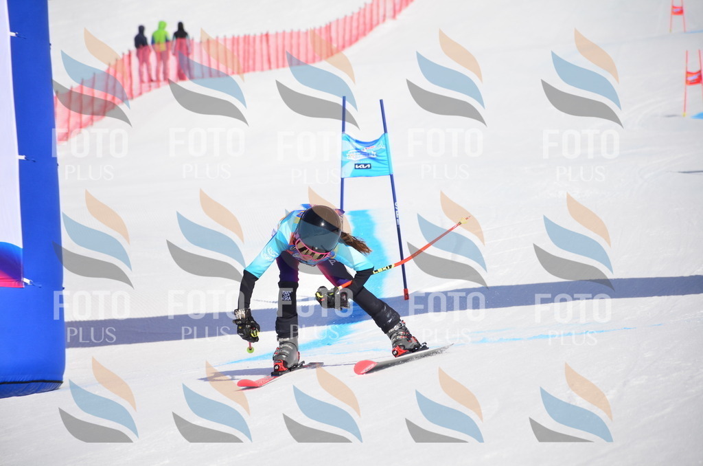 VR4_9793 | holidayphoto