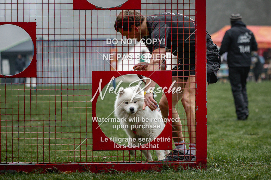 nelerasche_Hulsbeek_Sa0845-1030_15 | nelerasche