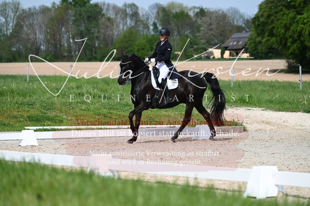 20230513_JK-Röhrsdorf-12-436-2 | Pferde- und Turnierfotografie in Westsachsen. Pferdeportraits, Auftragszeichnungen und intuitive Kunst.