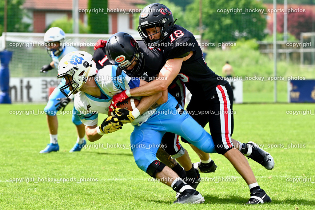 Carinthian Lions vs. Styrian Bears | Carinthian Lions vs. Styrian Bears, Carinthian Lions vs. Styrian Bears am 20.05.2024 in Klagenfurt (ASV Sportplatz), Austria, (Photo by Bernd Stefan)