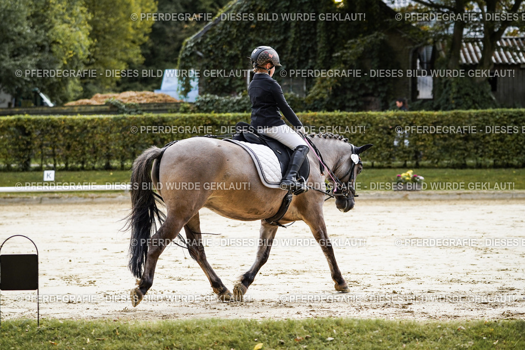 DSC05199 | Pferdegrafie