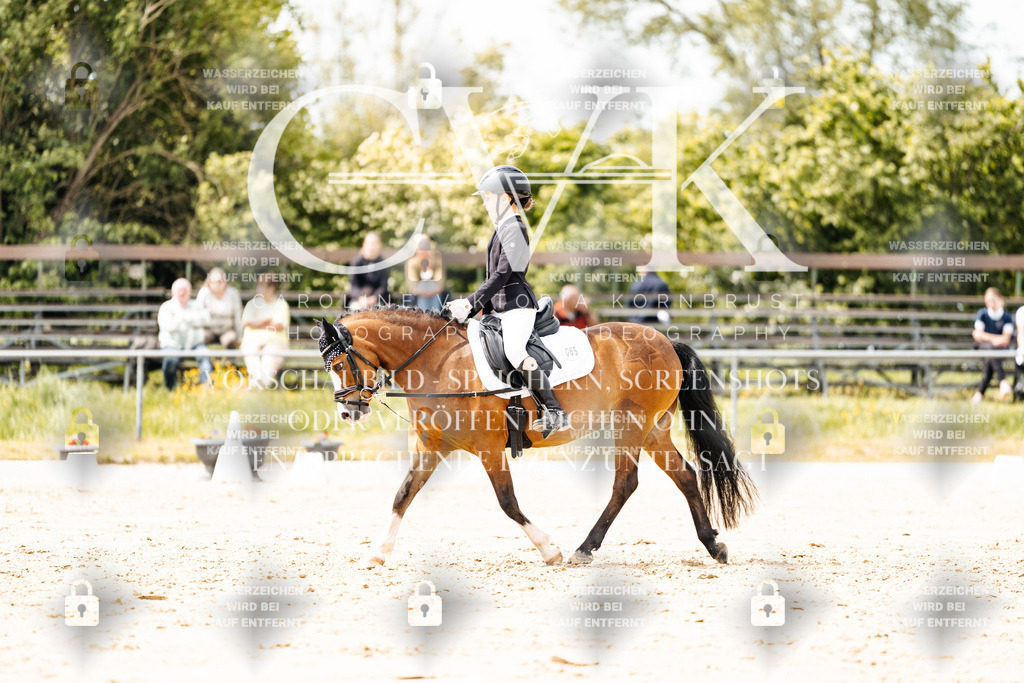 CK902308 | Turnierfotografie Pferdefotografie Trier Rheinland-Pfalz Pferdesport Reitsport Tierfotografie Sportfotografie Pferdevideo Pferdevideografie Equestrianvideography equestrianphotography  - Realisiert mit Pictrs.com
