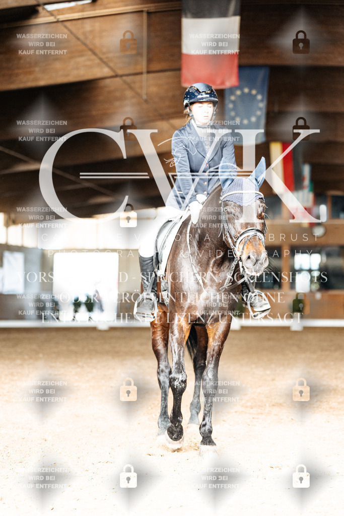 CK902377 | Turnierfotografie Pferdefotografie Trier Rheinland-Pfalz Pferdesport Reitsport Tierfotografie Sportfotografie Pferdevideo Pferdevideografie Equestrianvideography equestrianphotography  - Realisiert mit Pictrs.com