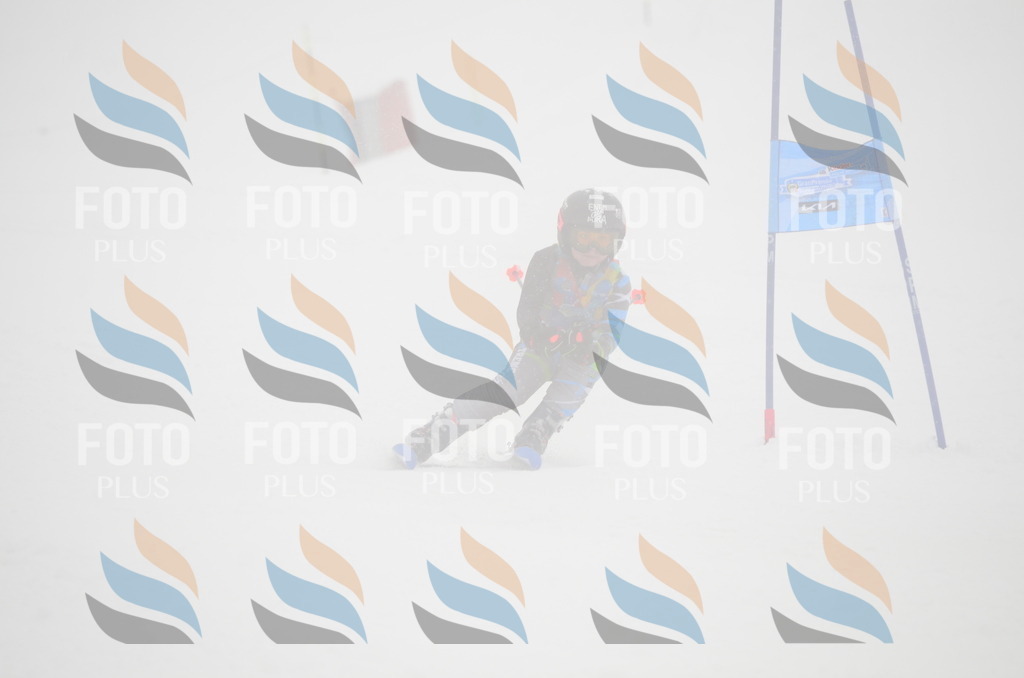 C0820 | holidayphoto