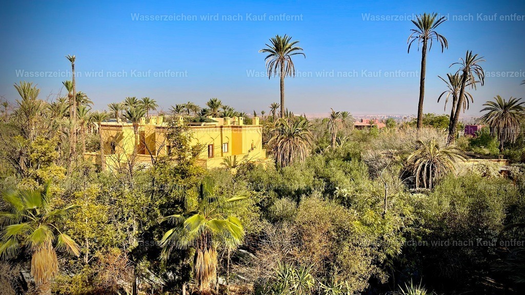 IMG_3819 | heikomoeller - Realisiert mit Pictrs.com