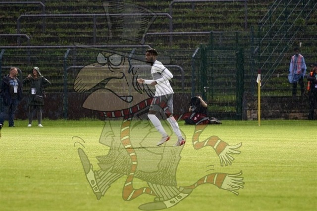 BFC Dynamo vs. FC Carl Zeiss Jena 025 | mythos-online-redaktion