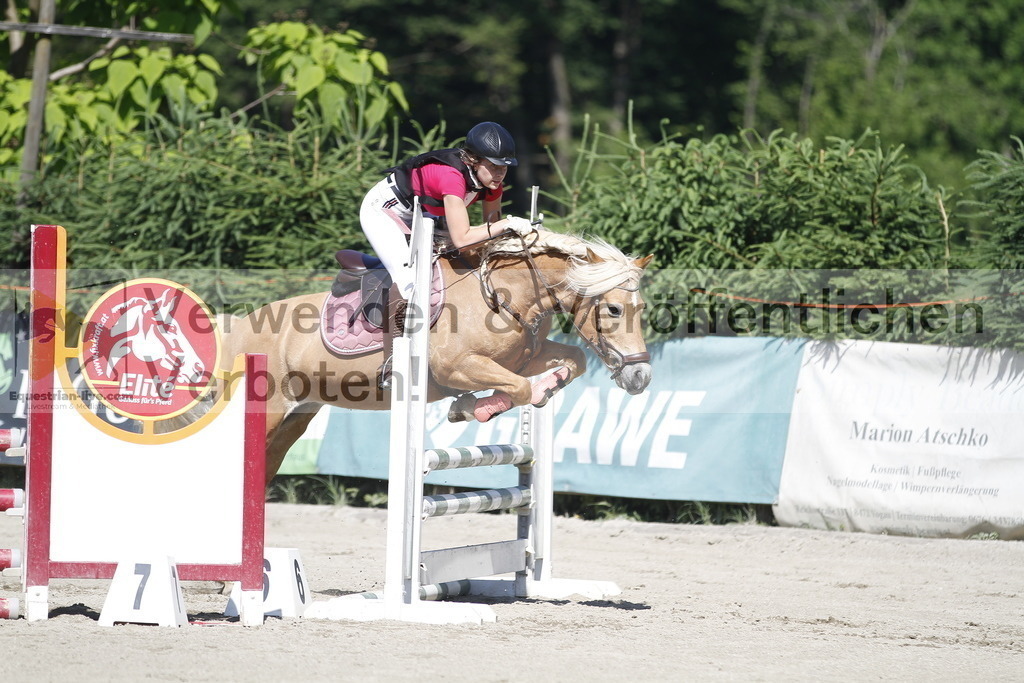 _MG_2601 | equestrian-live-com