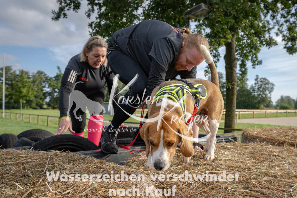 0906_ZZ94520 | kk-dogfotos
