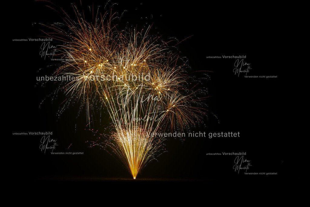 _16A2203-1 | Einzigartige Fotos von Hunden & Menschen –Actionfotos, Portraits, Vereinsaufnahmen & Paarshootings – authentisch, lebendig & mit Herz.