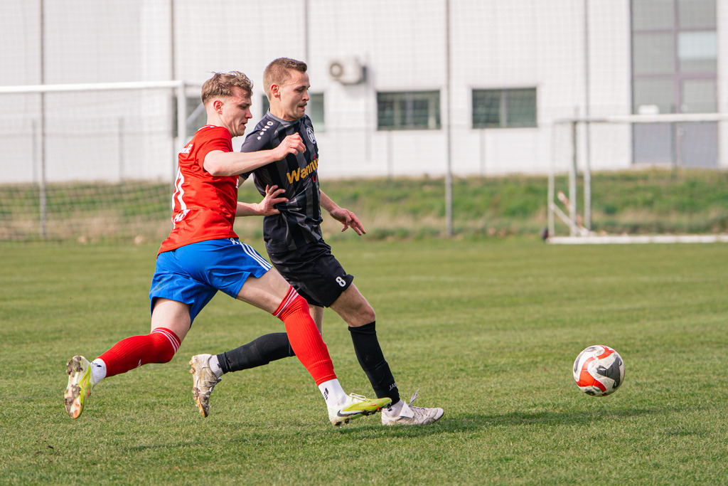 Fußball I Herren I Saison 2025-2026 I Landesliga Weser-Ems I 22. Spieltag I TV Dinklage - FC Schüttorf 09 I 15168 | jns.sportfotos - Realisiert mit Pictrs.com