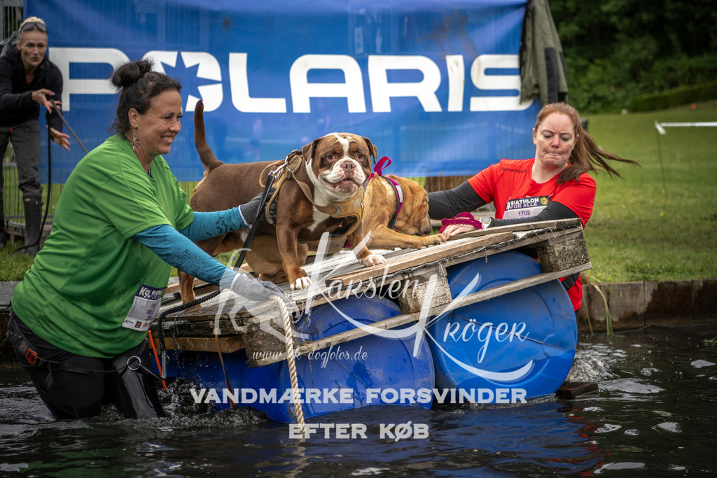 1003_ZZ93922 | kk-dogfotos