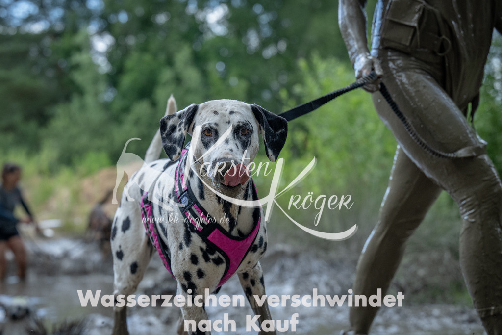 1155_ZZ93626 | kk-dogfotos
