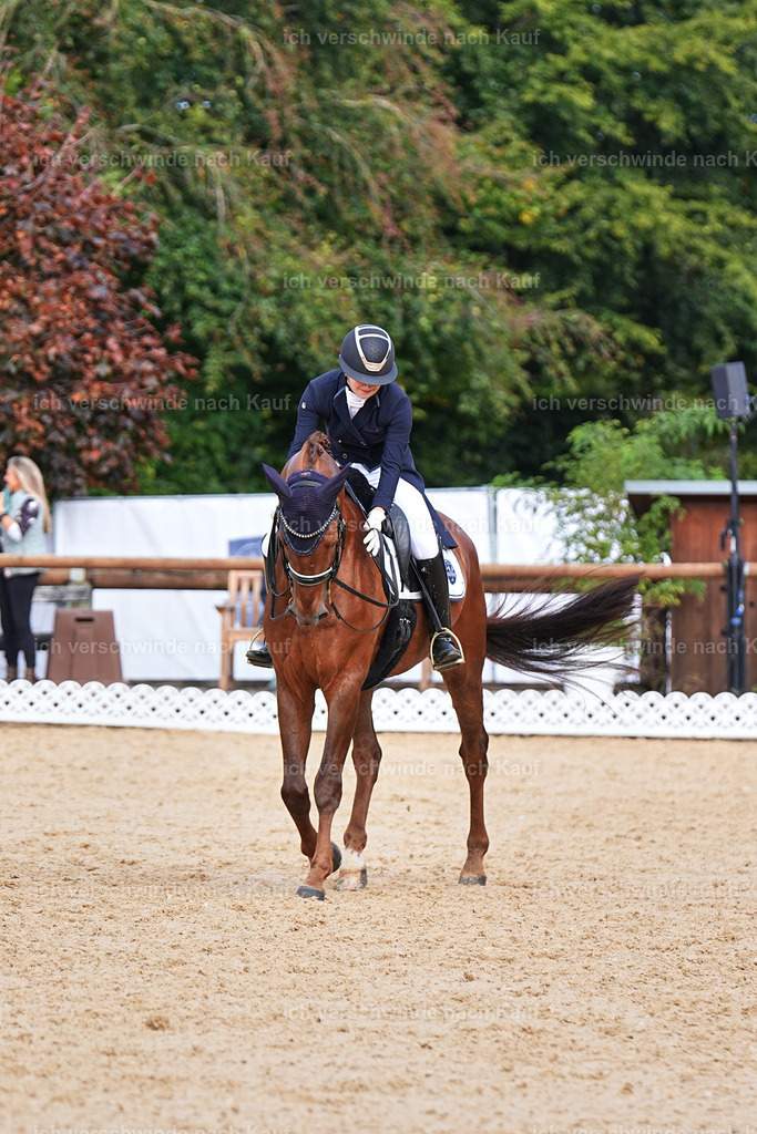 6-143-AMATUER-DRESSUR S_  -Marixx-3695 | working equitationturnier fotograf videograf stoibphotography marixx film working equitation deutschland reitsport turnierfotografie eventfotografie equestrian events