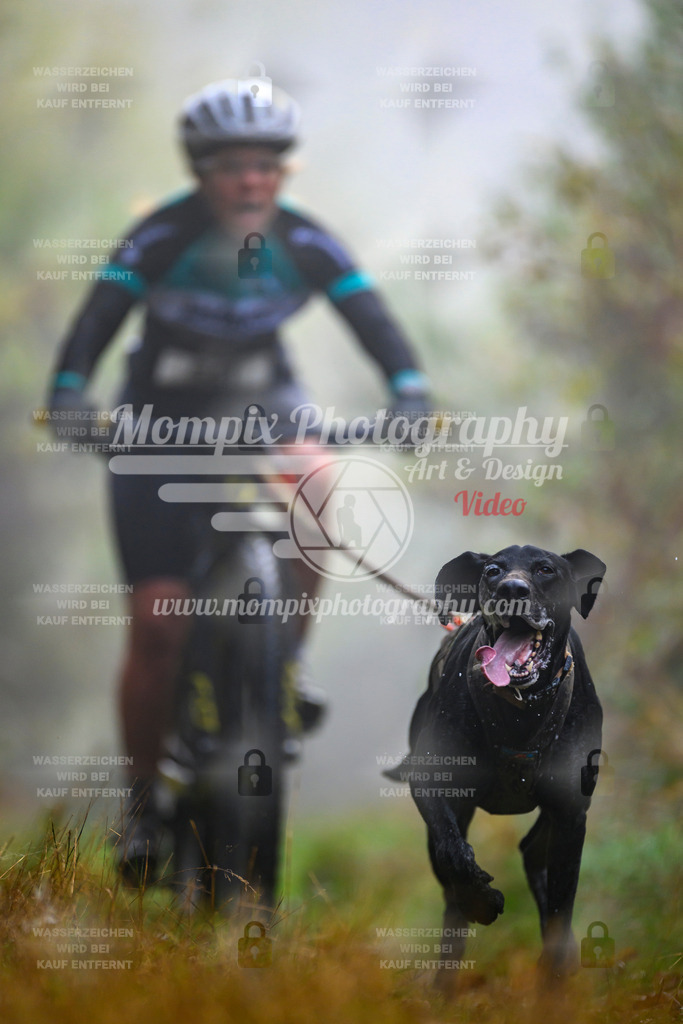 MompixPhotography_20TSB_E4_Bike-77 | PayLife