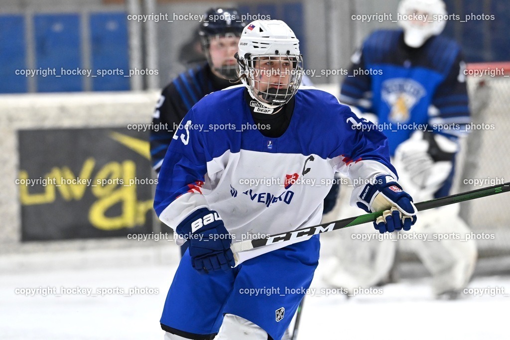 BST_4567 | hockey sports photos, Pressefotos, Sportfotos, hockey247, win 2day icehockeyleague, Handball Austria, Floorball Austria, ÖVV, Kärntner Eishockeyverband, KEHV, KFV, Kärntner Fussballverband, Österreichischer Volleyballverband, Alps Hockey League, ÖFB, 