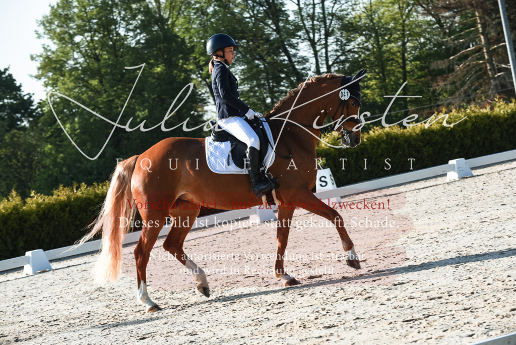 20230518_JK-Röhrsdorf-09-0241 | Pferde- und Turnierfotografie in Westsachsen. Pferdeportraits, Auftragszeichnungen und intuitive Kunst.