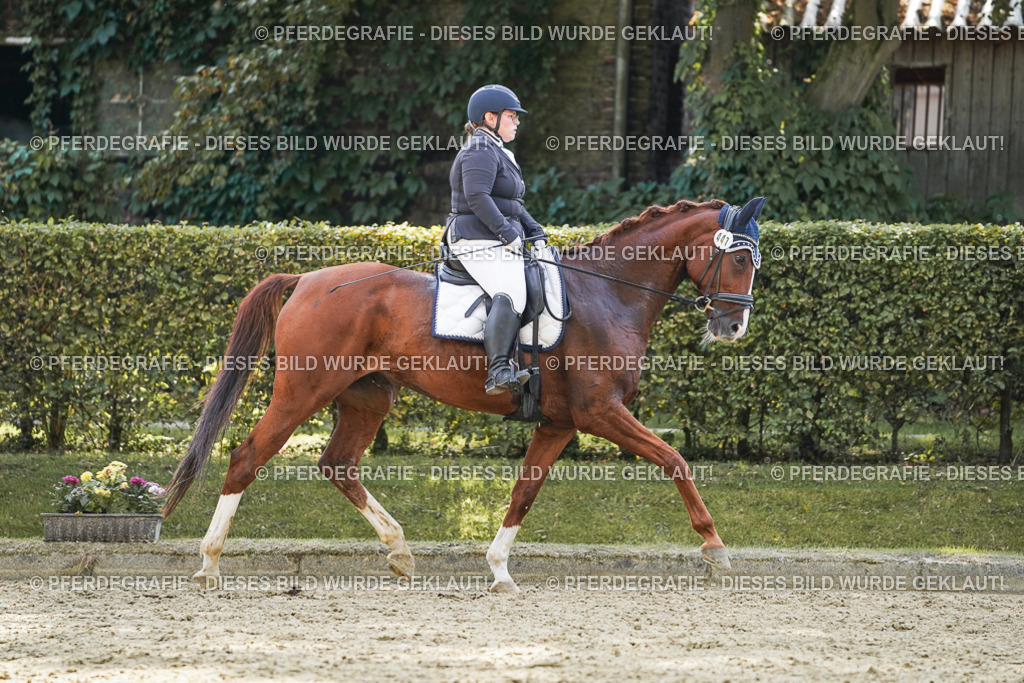 DSC08039 | Pferdegrafie