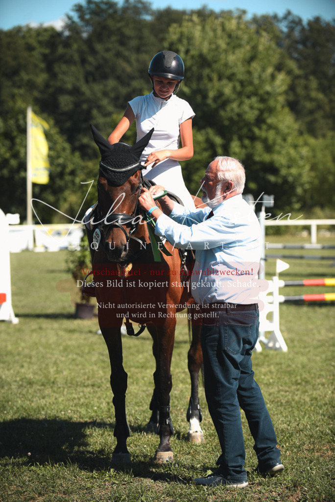 DSC_7328 | Pferde- und Turnierfotografie in Westsachsen. Pferdeportraits, Auftragszeichnungen und intuitive Kunst.