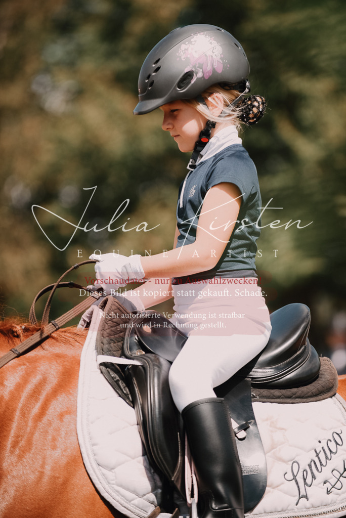 DSC_6194 | Pferde- und Turnierfotografie in Westsachsen. Pferdeportraits, Auftragszeichnungen und intuitive Kunst.