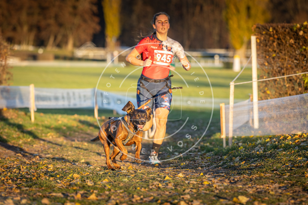 CaniXpix_DV3A5452 | Hundefotografie, Tierfotograf, Pfotenfotografie, Fotoshooting Hund, Hunde Portrait, Hundesport, Hundeportraits, Heideshooting, Hunde, Sportfotograf, Hundefotograf, Turnierhundsport, THS,  - Realisiert mit Pictrs.com