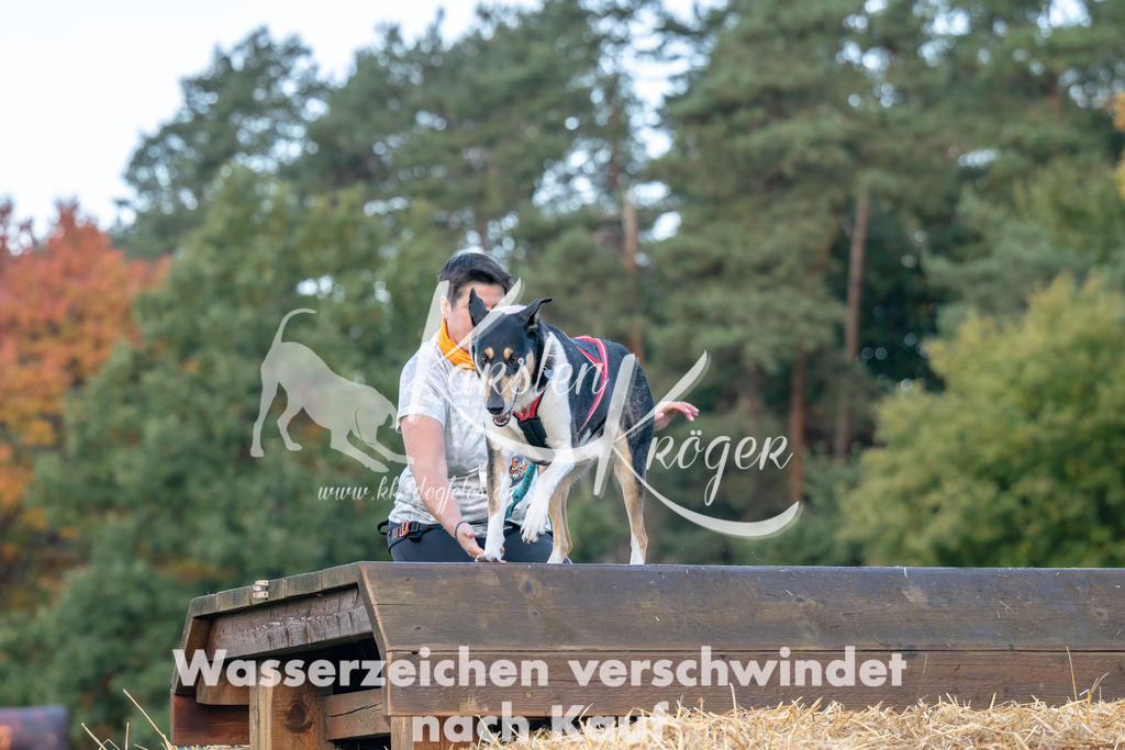 0902_ZZ92179-Bearbeitet | kk-dogfotos