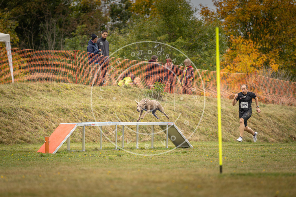 Pfotenfotografie_DV3A2720 | Hundefotografie, Tierfotograf, Pfotenfotografie, Fotoshooting Hund, Hunde Portrait, Hundesport, Hundeportraits, Heideshooting, Hunde, Sportfotograf, Hundefotograf, Turnierhundsport, THS,  - Realisiert mit Pictrs.com