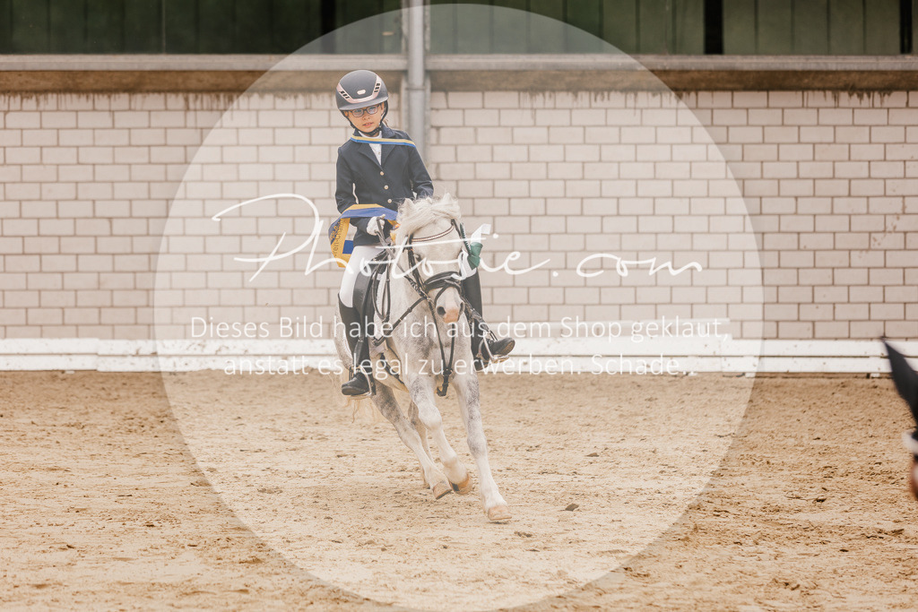 3I6A0016 | Stimmungsvolle Portraits und Reitsportfotografie im Ruhrgebiet und im Münsterland.

Pferdefotografie, Hundefotografie, Tierfotografie, Reportagen, Portraits von Tier und Mensch, Turnierfotografie in Bochum, Recklinghausen, Marl, Haltern am See, Dülmen.. - Realisiert mit Pictrs.com