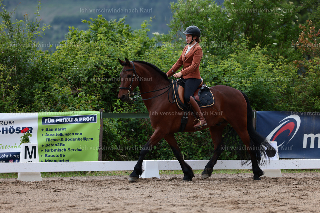 KlasseL_Stoibphotography_CAM21344.JPG | working equitationturnier fotograf videograf stoibphotography marixx film working equitation deutschland reitsport turnierfotografie eventfotografie equestrian events