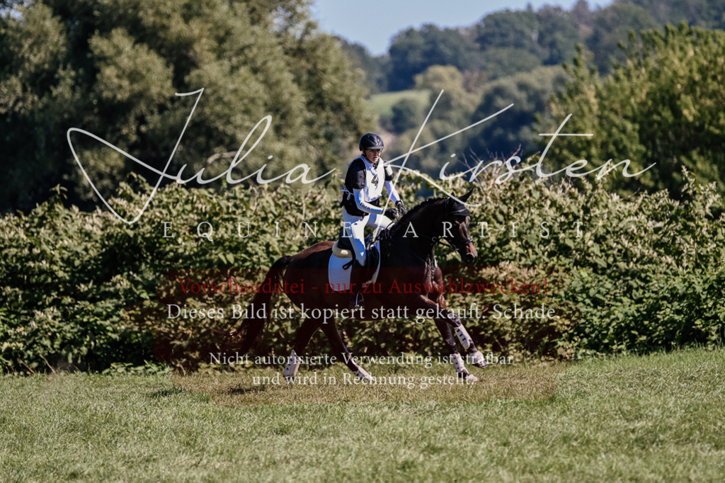 DSC_1469 | Pferde- und Turnierfotografie in Westsachsen. Pferdeportraits, Auftragszeichnungen und intuitive Kunst.